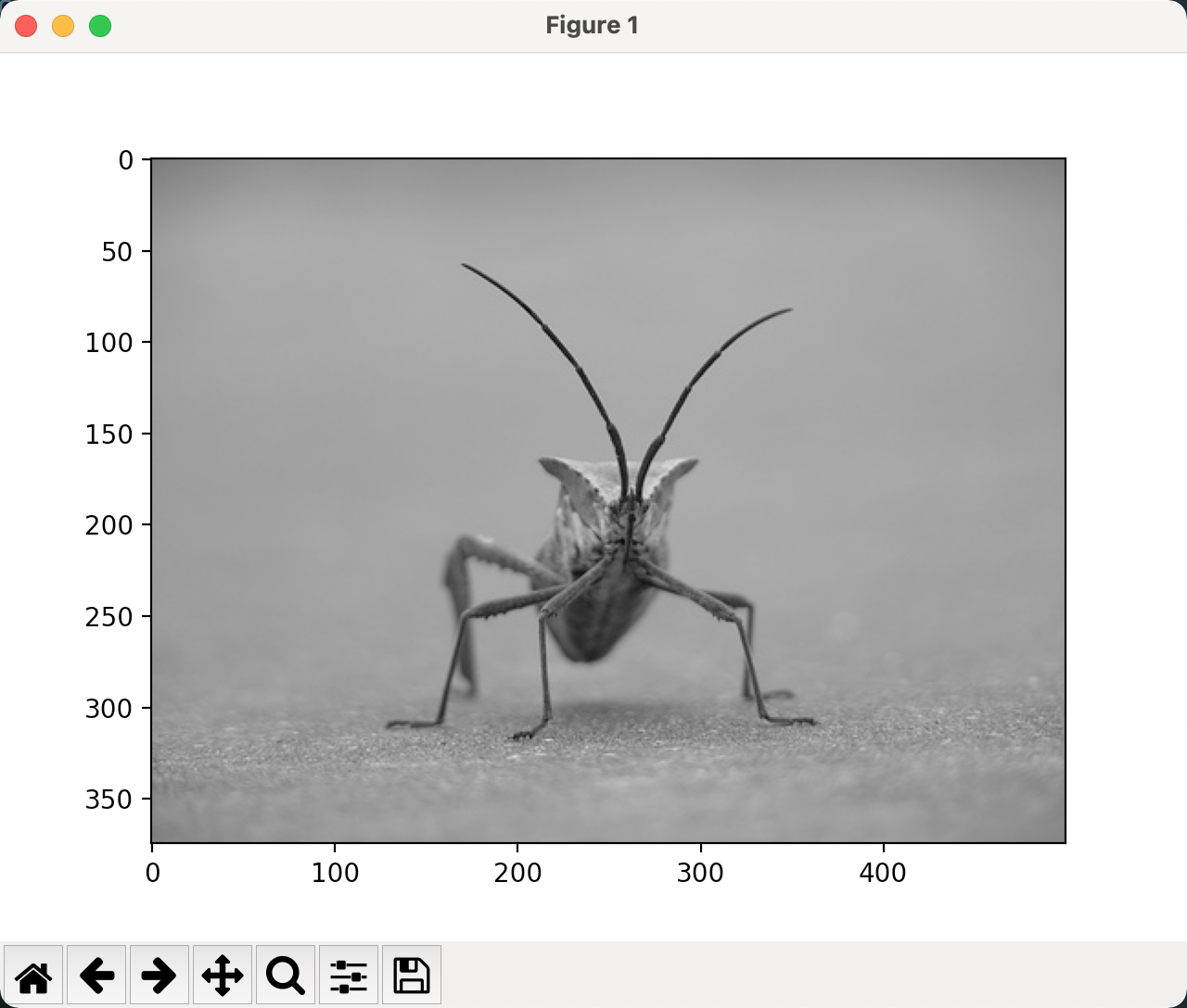 image-20211204001730928