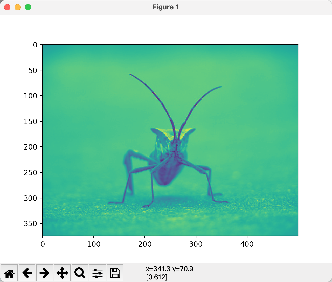 image-20211204003701542