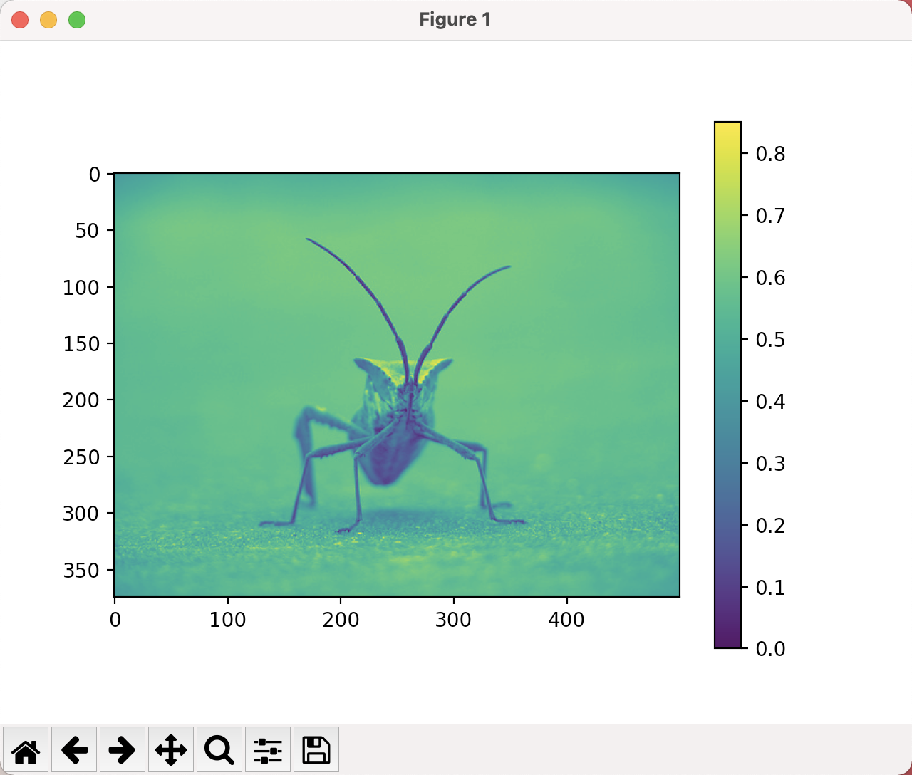 image-20211204004308940