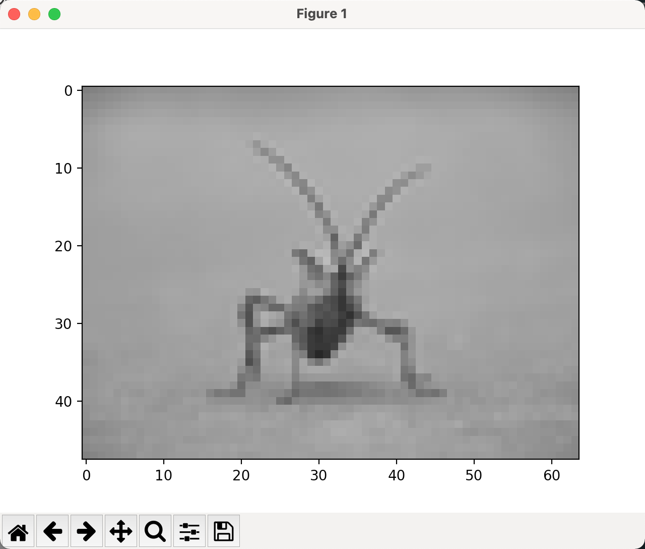 image-20211204011041795